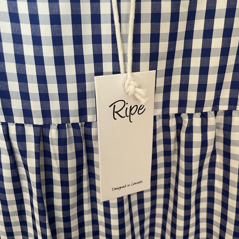 Ripe Blue Gingham Mini Dress - Picture 5 of 7